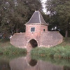 Boerenboom